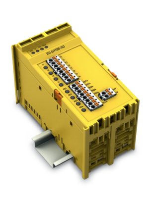 Fail Safe 4/4 Channel Digital Input/Relay Output; 48 VAC/ 60 VDC; 6 A; PROFIsafe V2.0 iPar 750-669/000-003